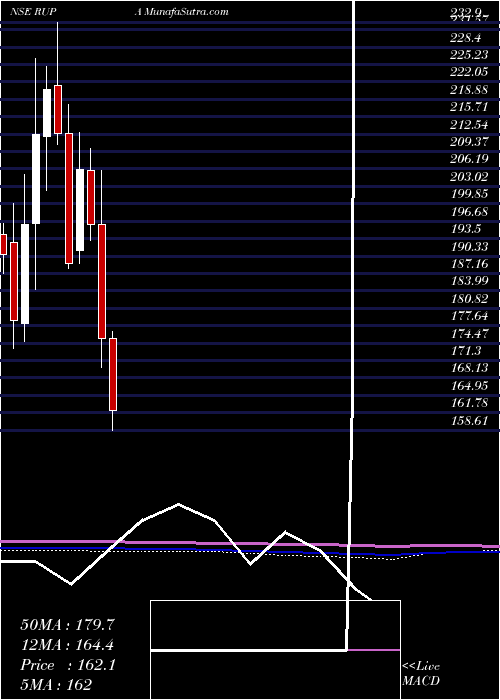  monthly chart RupaCompany