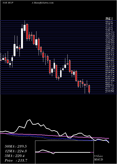  weekly chart RupaCompany