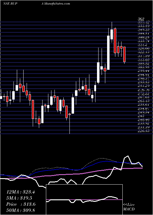  weekly chart RupaCompany