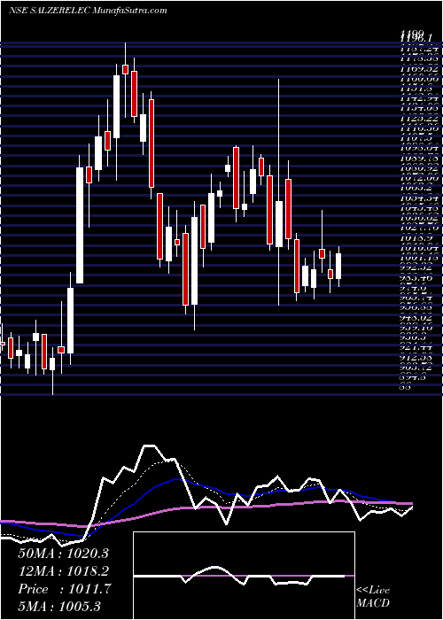  Daily chart Salzer Electronics Ltd.