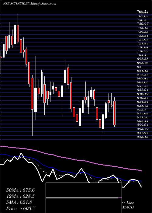  Daily chart SchneiderElectric