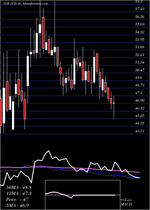 weekly chart ShippingCorp