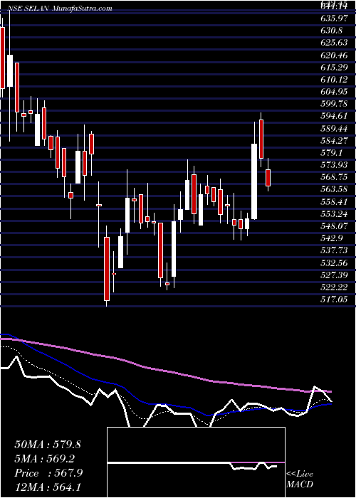  Daily chart SelanExploration