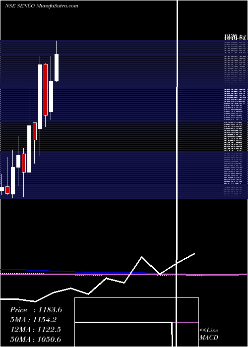  monthly chart SencoGold