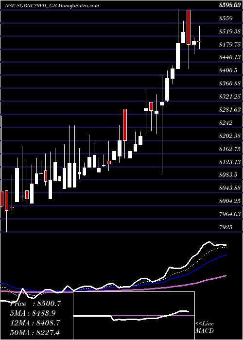  Daily chart 2.5%goldbonds2029sr-vii