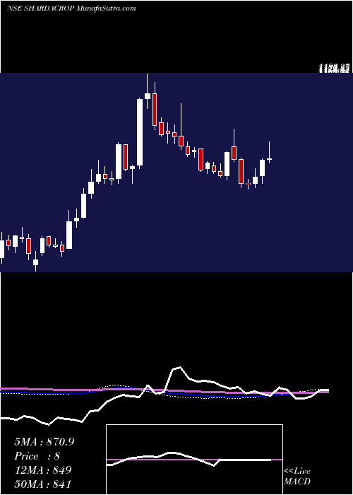 weekly chart ShardaCropchem