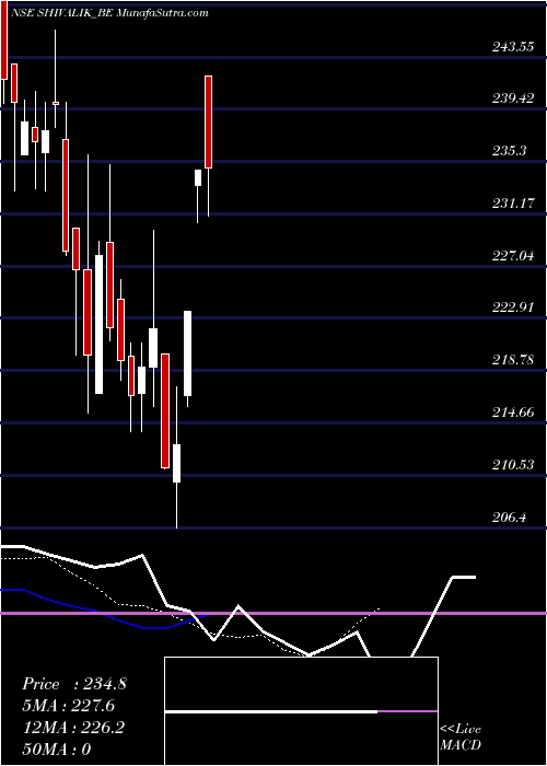  Daily chart ShivalikRasayan