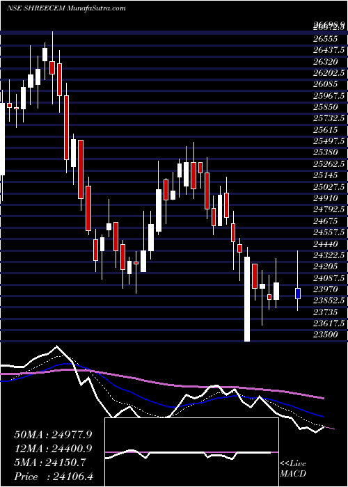  Daily chart Shree Cements Limited