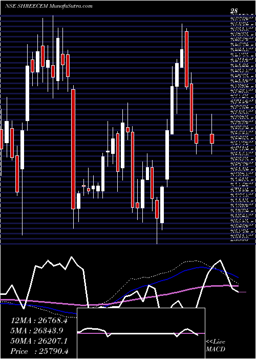  weekly chart ShreeCements