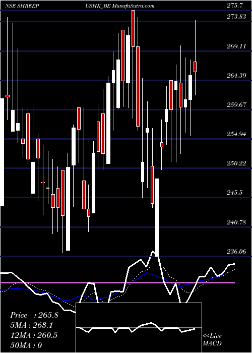  Daily chart ShrePush