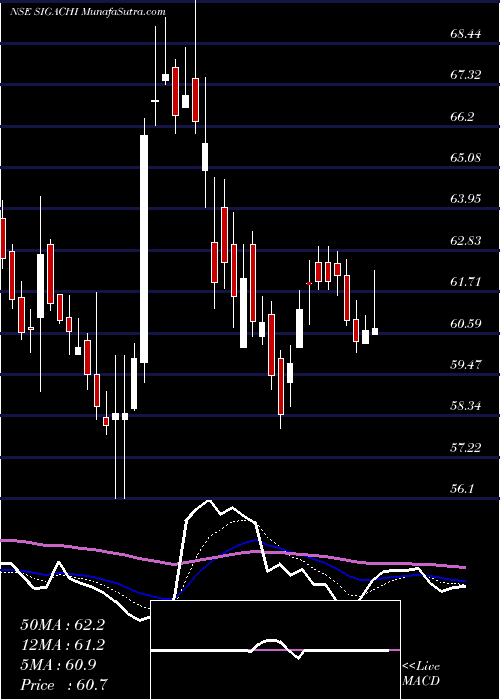  Daily chart Sigachi Industries Ltd