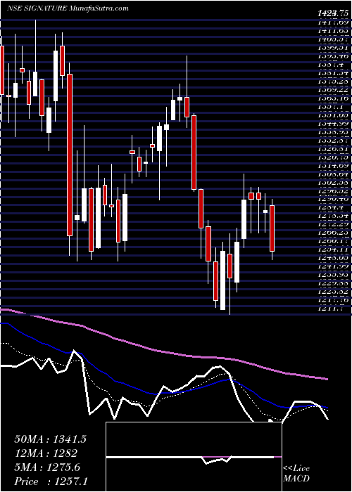  Daily chart SignatureglobalIndia