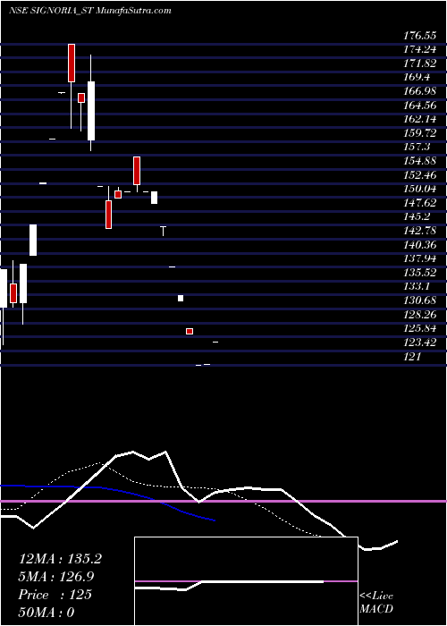  Daily chart SignoriaCreation