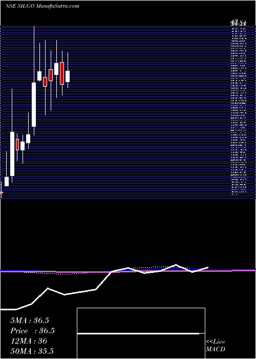  monthly chart SilgoRetail