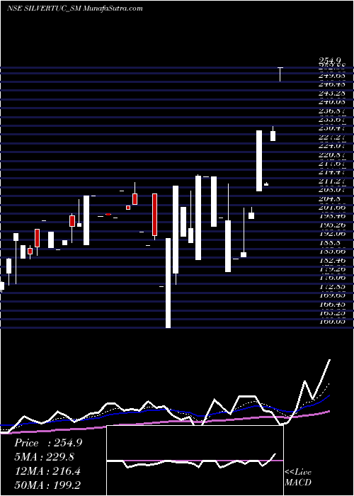  Daily chart SilverTouch