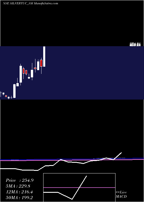  monthly chart SilverTouch