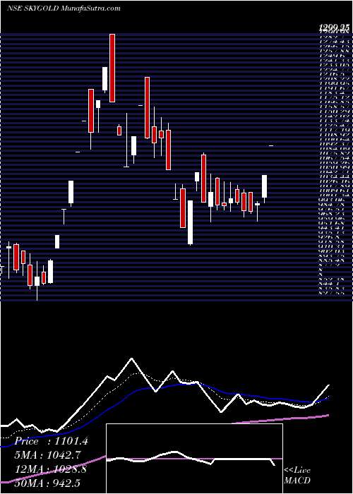  Daily chart Sky Gold Limited