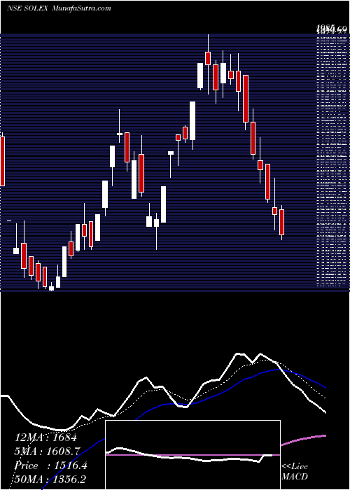  Daily chart Solex Energy Limited