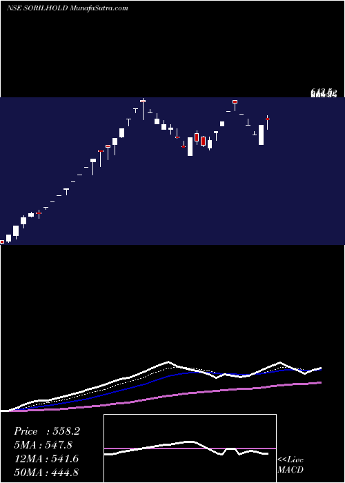 Daily chart SorilHoldings