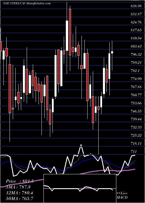  Daily chart Steelcast Limited