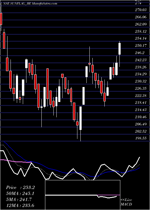  Daily chart SunflagIron