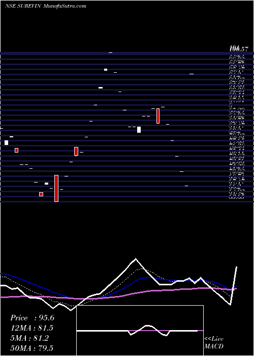  Daily chart SurevinBpo