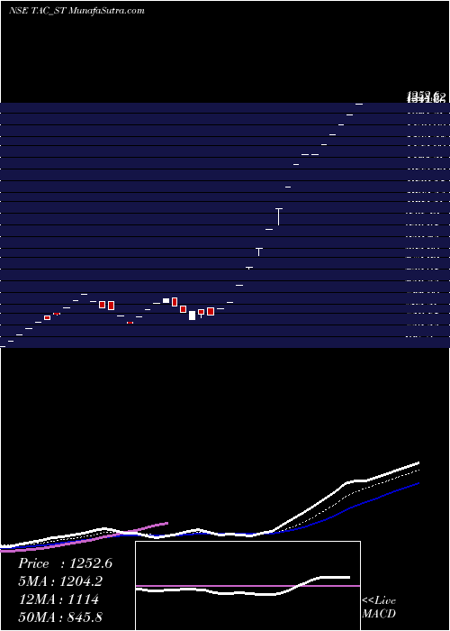  Daily chart TacInfosec