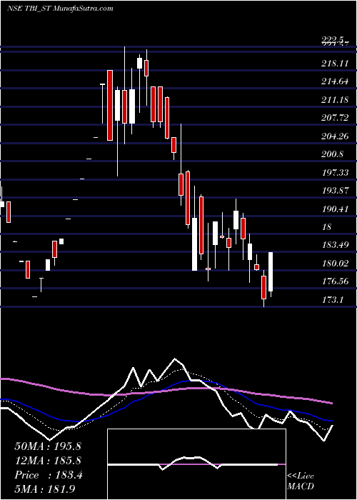  Daily chart Tbi Corn Limited