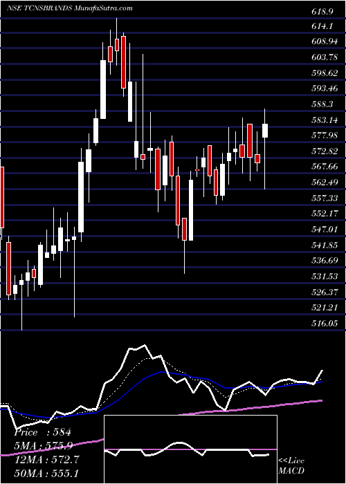  Daily chart Tcns Clothing Co. Limited
