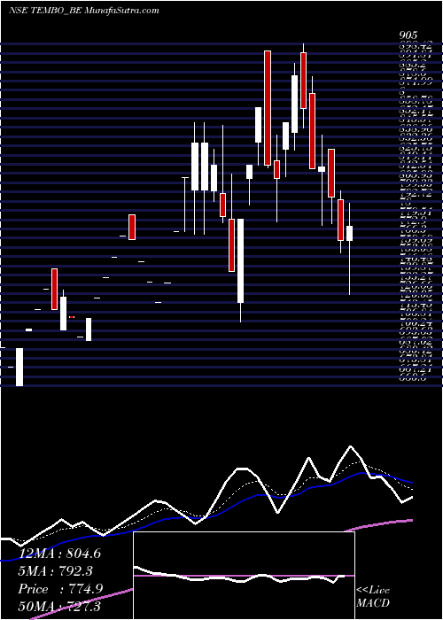  Daily chart TemboGlobal