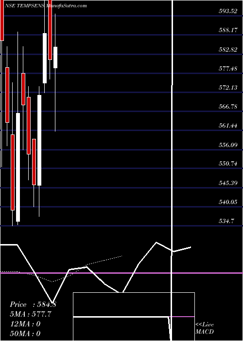  Daily chart Tempsens Inst (india) Ltd