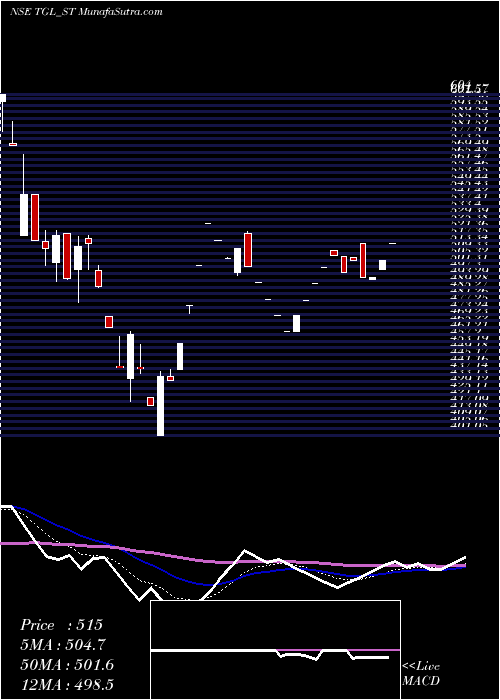  Daily chart Teerth Gopicon Limited