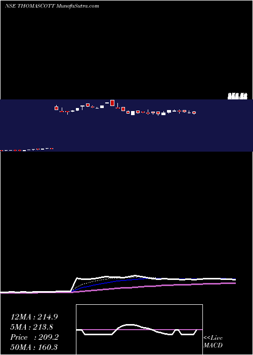  Daily chart Thomas Scott (India) Limited