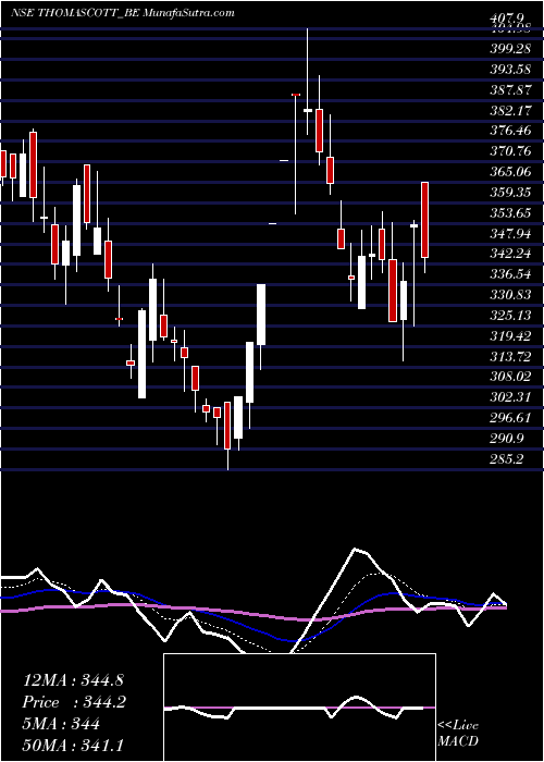  Daily chart Thomas Scott (india) Ltd