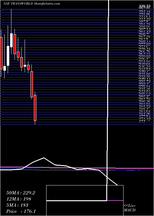  monthly chart TransworldShip