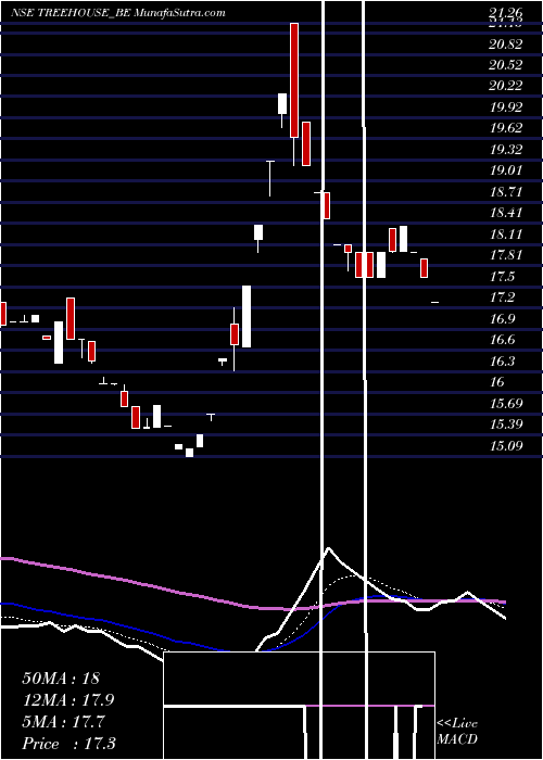  Daily chart TreeHouse