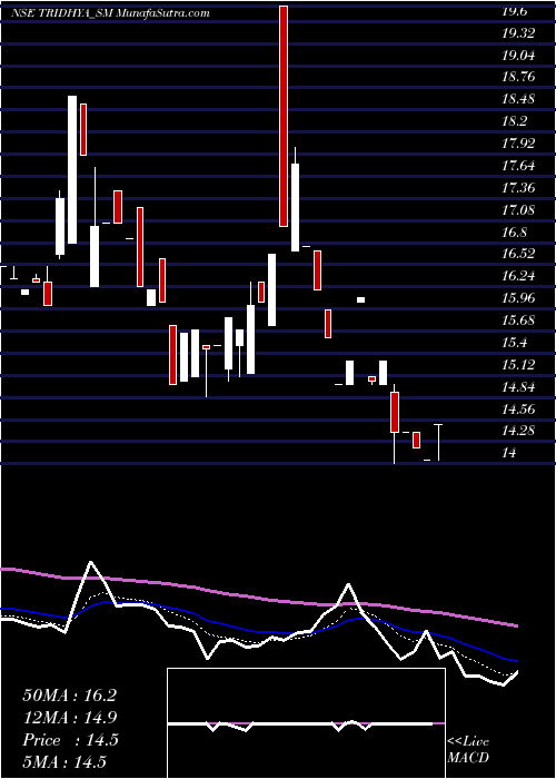  Daily chart Tridhya Tech Limited