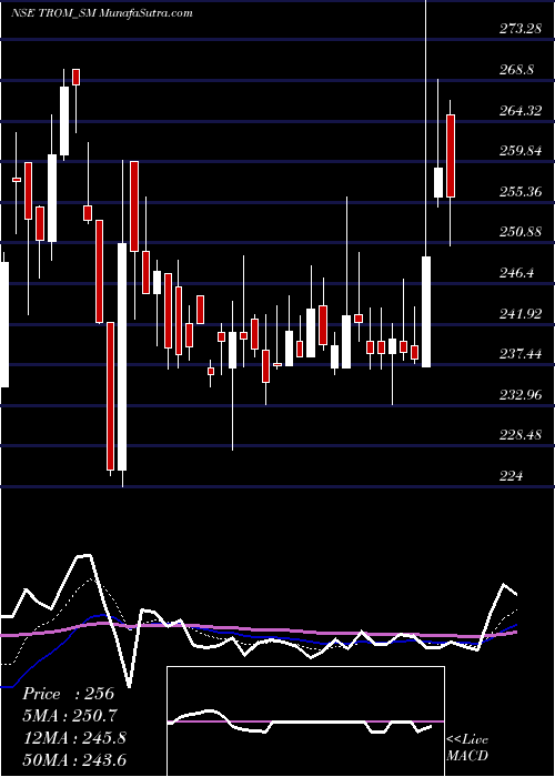  Daily chart Trom Industries Limited