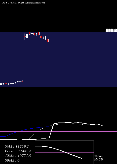  Daily chart TvsHoldings