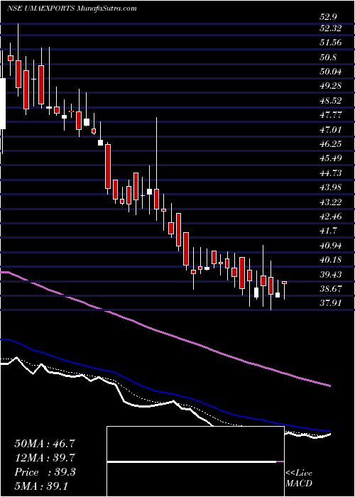  Daily chart UmaExports