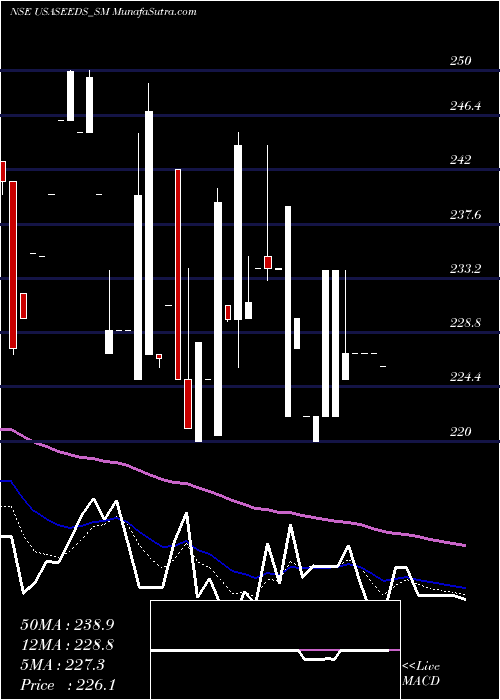  Daily chart Upsurge Seeds Of Agri Ltd