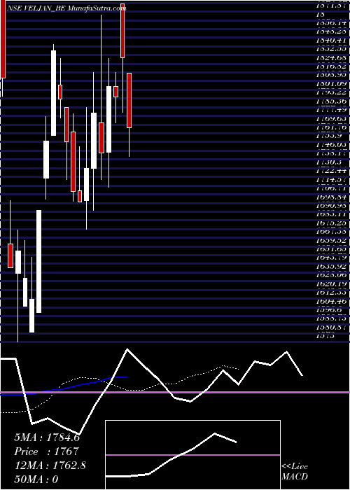  Daily chart VeljanDenison