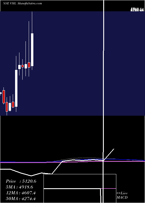  monthly chart VardhmanHoldings