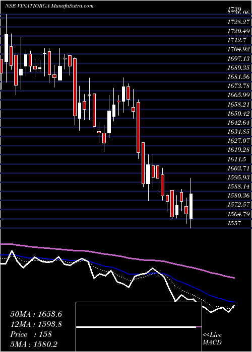  Daily chart VinatiOrganics