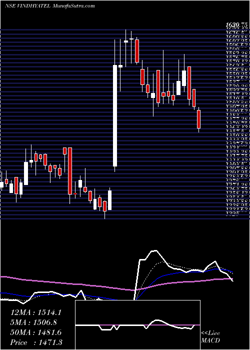  Daily chart Vindhya Telelinks Limited