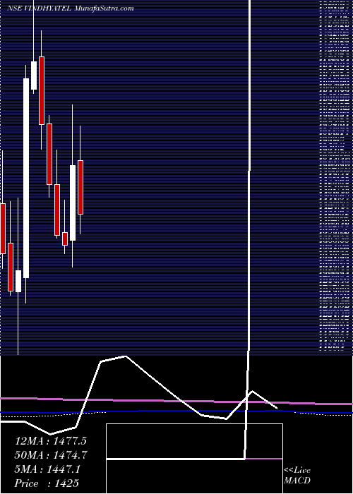  monthly chart VindhyaTelelinks