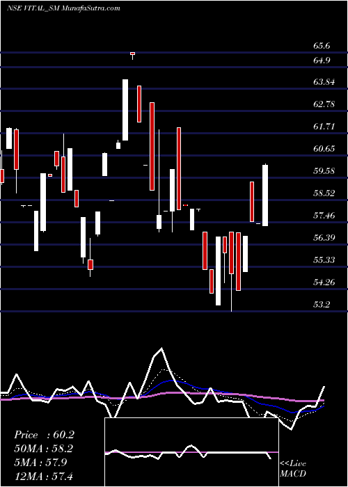  Daily chart VitalChemtech