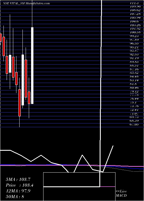  monthly chart VitalChemtech