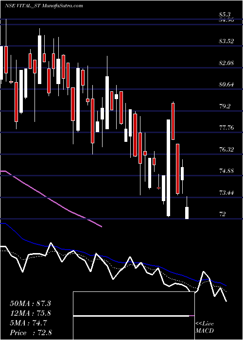  Daily chart VitalChemtech