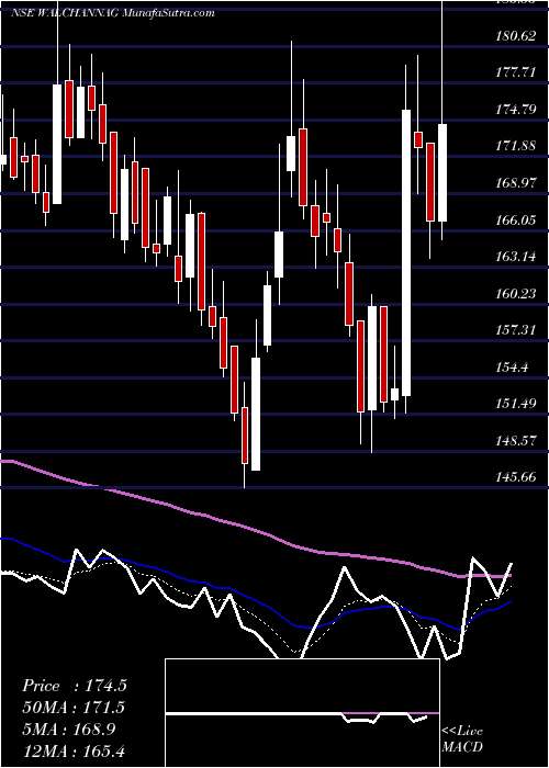  Daily chart WalchandnagarIndustries
